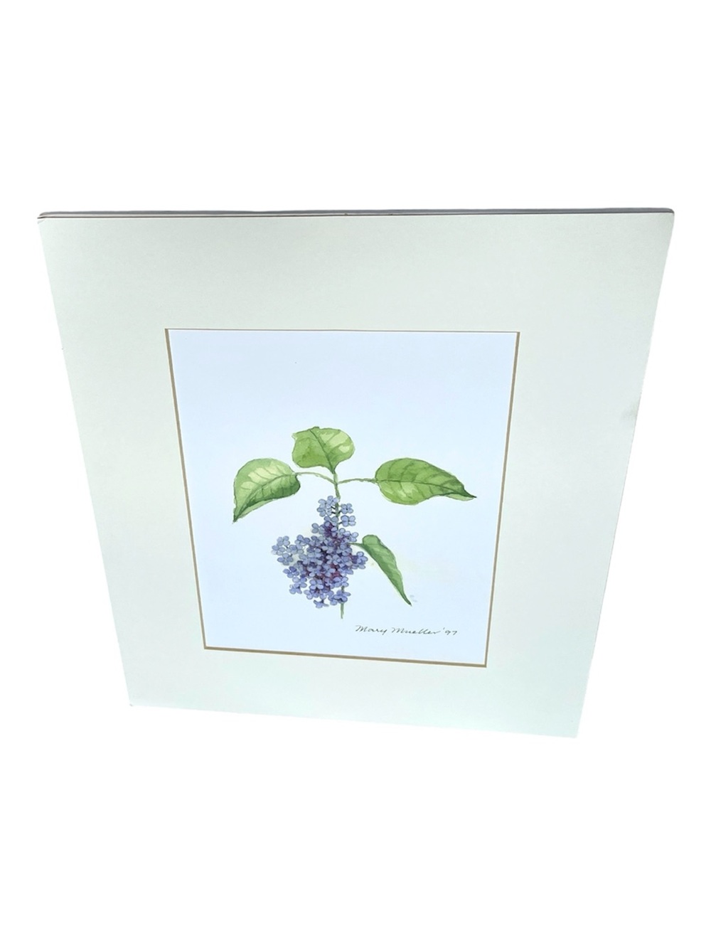 Mary Mueller Signed Original Botanical Purple Floral Watercolor 6.5" x 8.5"